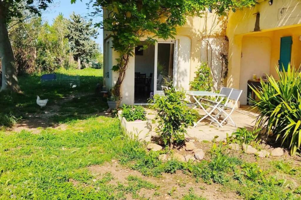 Offrez-Vous Un Sejour Dans Notre Gite A Entressen Une Grande Piscine Pour Se Rafraichir ,Un Espace De Jeux Pour Enfants Pour Des Heures De Divertissement Un Terrain De Petanque Pour Des Parties Endiablees Экстерьер фото